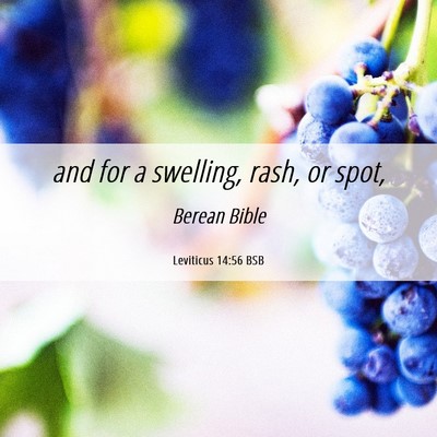 Picture 06 - Leviticus 14:56 BSB - and for a swelling, rash, or - Bible Verse Picture