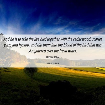 Picture 06 - Leviticus 14:6 BSB - And he is to take the live bird together with the - Bible Verse Picture