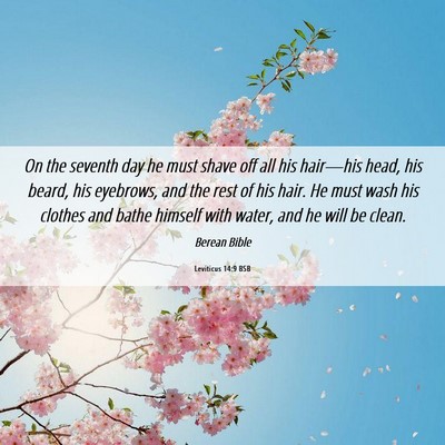 Picture 06 - Leviticus 14:9 BSB - On the seventh day he must shave off all his - Bible Verse Picture