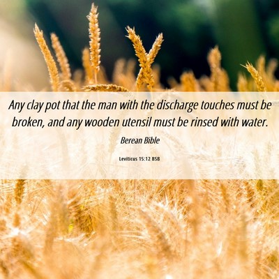 Picture 06 - Leviticus 15:12 BSB - Any clay pot that the man with the discharge - Bible Verse Picture