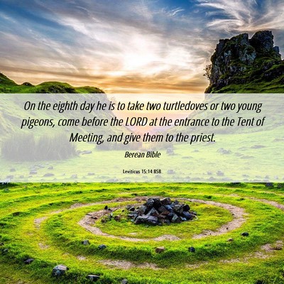 Picture 06 - Leviticus 15:14 BSB - On the eighth day he is to take two turtledoves - Bible Verse Picture