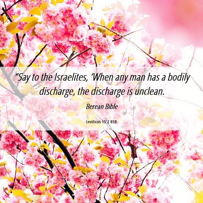 Picture 06 - Leviticus 15:2 BSB - “Say to the Israelites, ‘When any man has a - Bible Verse Picture
