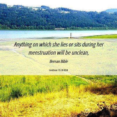 Picture 06 - Leviticus 15:20 BSB - Anything on which she lies or sits during her - Bible Verse Picture