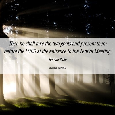 Picture 06 - Leviticus 16:7 BSB - Then he shall take the two goats and present them - Bible Verse Picture