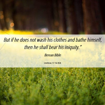 Picture 06 - Leviticus 17:16 BSB - But if he does not wash his clothes and bathe - Bible Verse Picture
