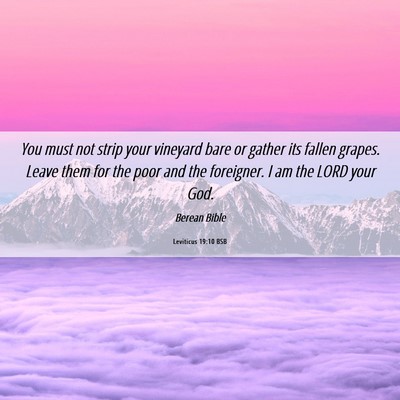Picture 06 - Leviticus 19:10 BSB - You must not strip your vineyard bare or gather - Bible Verse Picture