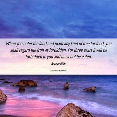 Picture 06 - Leviticus 19:23 BSB - When you enter the land and plant any kind of - Bible Verse Picture