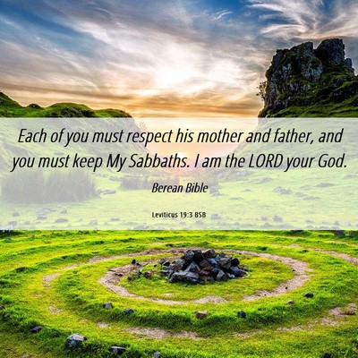 Picture 06 - Leviticus 19:3 BSB - Each of you must respect his mother and father, - Bible Verse Picture