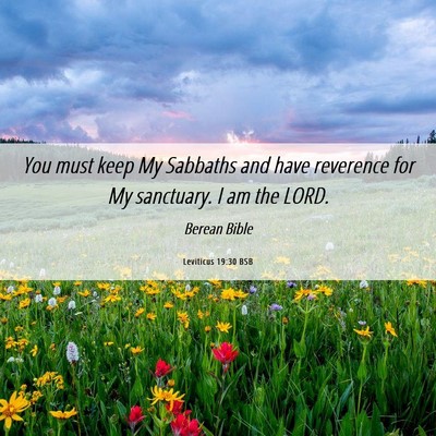 Picture 06 - Leviticus 19:30 BSB - You must keep My Sabbaths and have reverence for - Bible Verse Picture