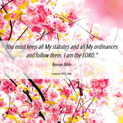 Picture 06 - Leviticus 19:37 BSB - You must keep all My statutes and all My - Bible Verse Picture