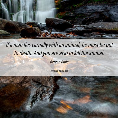 Picture 06 - Leviticus 20:15 BSB - If a man lies carnally with an animal, he must be - Bible Verse Picture