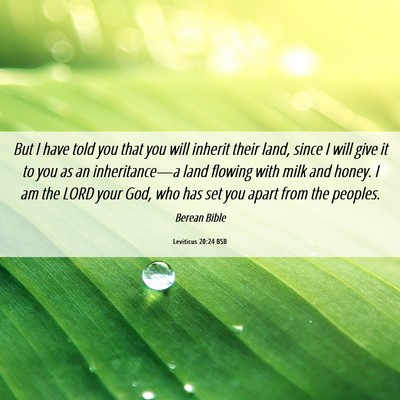 Picture 06 - Leviticus 20:24 BSB - But I have told you that you will inherit their - Bible Verse Picture