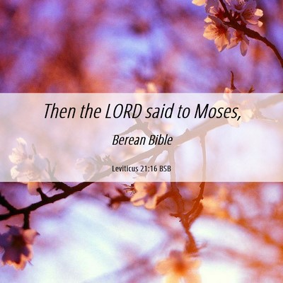 Picture 06 - Leviticus 21:16 BSB - Then the LORD said to - Bible Verse Picture