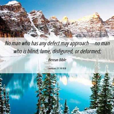 Picture 06 - Leviticus 21:18 BSB - No man who has any defect may approach—no man - Bible Verse Picture
