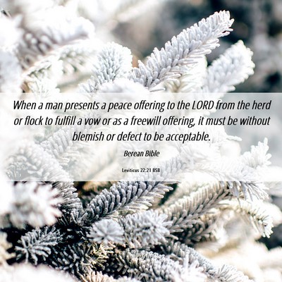Picture 06 - Leviticus 22:21 BSB - When a man presents a peace offering to the LORD - Bible Verse Picture