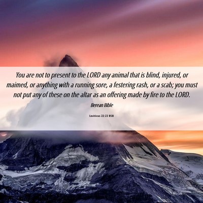 Picture 06 - Leviticus 22:22 BSB - You are not to present to the LORD any animal - Bible Verse Picture