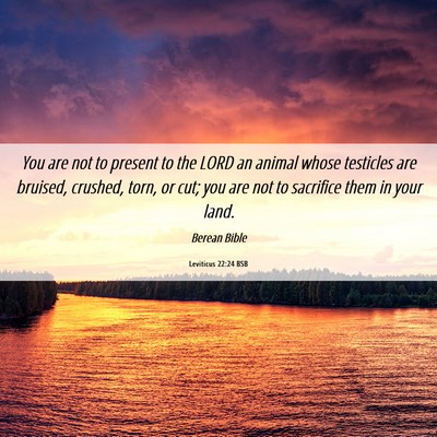 Picture 06 - Leviticus 22:24 BSB - You are not to present to the LORD an animal - Bible Verse Picture
