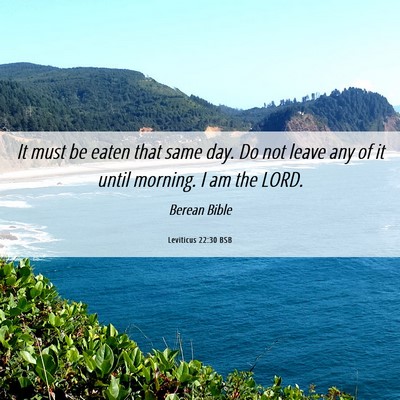 Picture 06 - Leviticus 22:30 BSB - It must be eaten that same day. Do not leave any - Bible Verse Picture