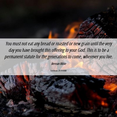 Picture 06 - Leviticus 23:14 BSB - You must not eat any bread or roasted or new - Bible Verse Picture