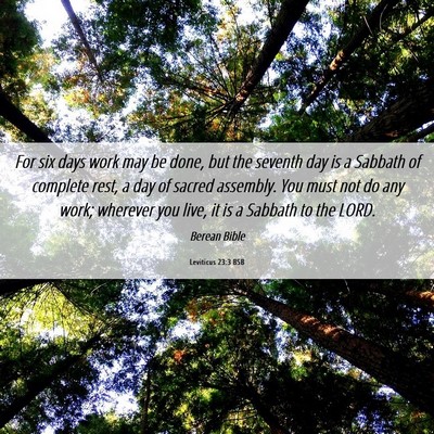 Picture 06 - Leviticus 23:3 BSB - For six days work may be done, but the seventh - Bible Verse Picture
