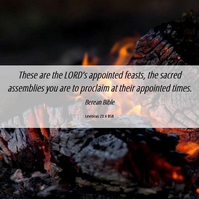 Picture 06 - Leviticus 23:4 BSB - These are the LORD’s appointed feasts, the - Bible Verse Picture