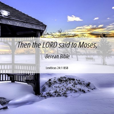 Picture 06 - Leviticus 24:1 BSB - Then the LORD said to - Bible Verse Picture