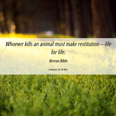 Picture 06 - Leviticus 24:18 BSB - Whoever kills an animal must make - Bible Verse Picture