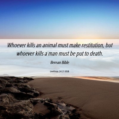 Picture 06 - Leviticus 24:21 BSB - Whoever kills an animal must make restitution, - Bible Verse Picture