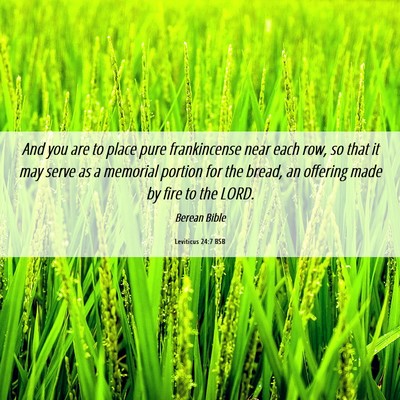 Picture 06 - Leviticus 24:7 BSB - And you are to place pure frankincense near each - Bible Verse Picture