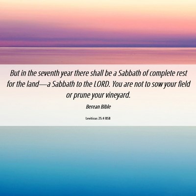 Picture 06 - Leviticus 25:4 BSB - But in the seventh year there shall be a Sabbath - Bible Verse Picture