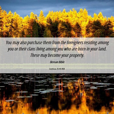 Picture 06 - Leviticus 25:45 BSB - You may also purchase them from the foreigners - Bible Verse Picture