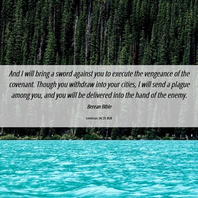 Picture 06 - Leviticus 26:25 BSB - And I will bring a sword against you to execute - Bible Verse Picture