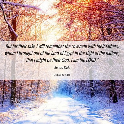Picture 06 - Leviticus 26:45 BSB - But for their sake I will remember the covenant - Bible Verse Picture
