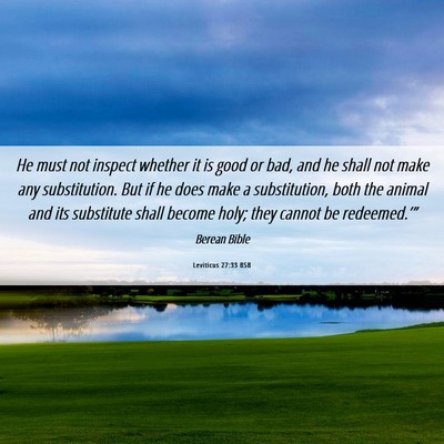 Picture 06 - Leviticus 27:33 BSB - He must not inspect whether it is good or bad, - Bible Verse Picture