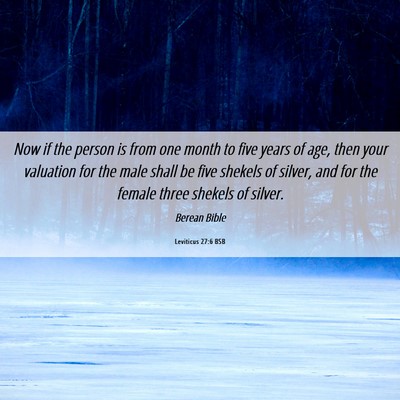 Picture 06 - Leviticus 27:6 BSB - Now if the person is from one month to five years - Bible Verse Picture