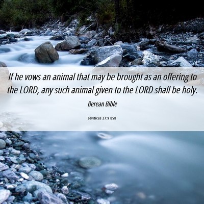 Picture 06 - Leviticus 27:9 BSB - If he vows an animal that may be brought as an - Bible Verse Picture