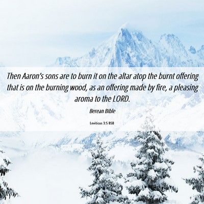 Picture 06 - Leviticus 3:5 BSB - Then Aaron’s sons are to burn it on the altar - Bible Verse Picture