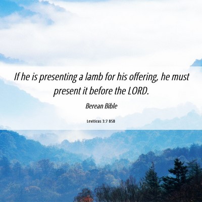 Picture 06 - Leviticus 3:7 BSB - If he is presenting a lamb for his offering, he - Bible Verse Picture