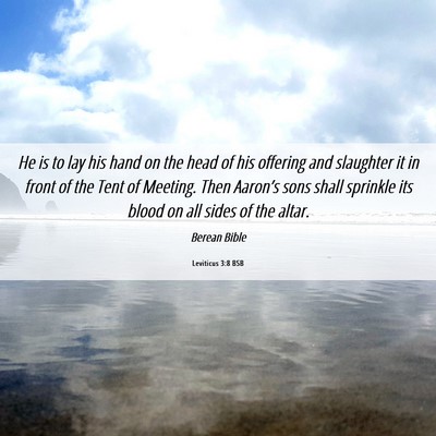 Picture 06 - Leviticus 3:8 BSB - He is to lay his hand on the head of his offering - Bible Verse Picture