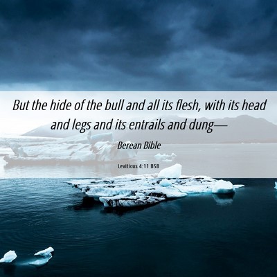 Picture 06 - Leviticus 4:11 BSB - But the hide of the bull and all its flesh, with - Bible Verse Picture