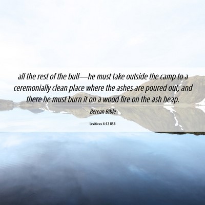 Picture 06 - Leviticus 4:12 BSB - all the rest of the bull—he must take outside - Bible Verse Picture