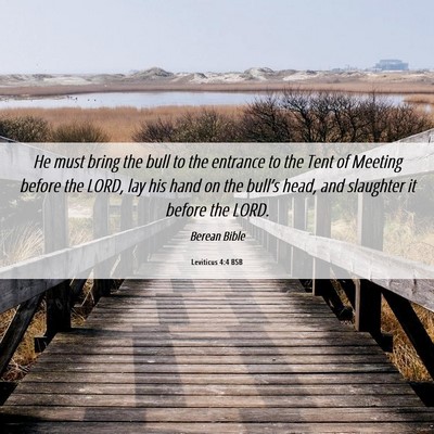 Picture 06 - Leviticus 4:4 BSB - He must bring the bull to the entrance to the - Bible Verse Picture
