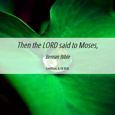 Picture 06 - Leviticus 6:19 BSB - Then the LORD said to - Bible Verse Picture