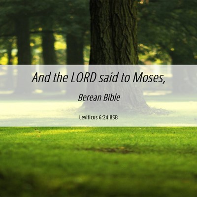 Picture 06 - Leviticus 6:24 BSB - And the LORD said to - Bible Verse Picture