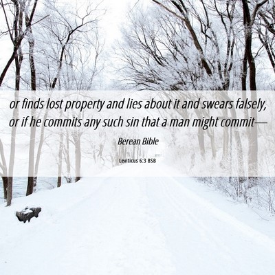 Picture 06 - Leviticus 6:3 BSB - or finds lost property and lies about it and - Bible Verse Picture
