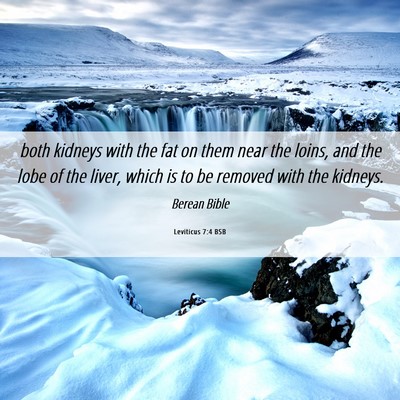 Picture 06 - Leviticus 7:4 BSB - both kidneys with the fat on them near the loins, - Bible Verse Picture