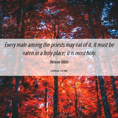 Picture 06 - Leviticus 7:6 BSB - Every male among the priests may eat of it. It - Bible Verse Picture