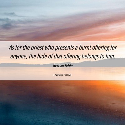 Picture 06 - Leviticus 7:8 BSB - As for the priest who presents a burnt offering - Bible Verse Picture