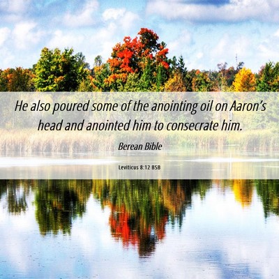 Picture 06 - Leviticus 8:12 BSB - He also poured some of the anointing oil on - Bible Verse Picture