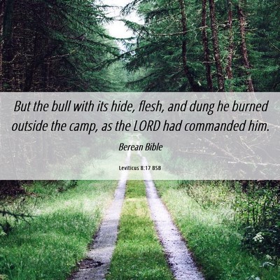 Picture 06 - Leviticus 8:17 BSB - But the bull with its hide, flesh, and dung he - Bible Verse Picture